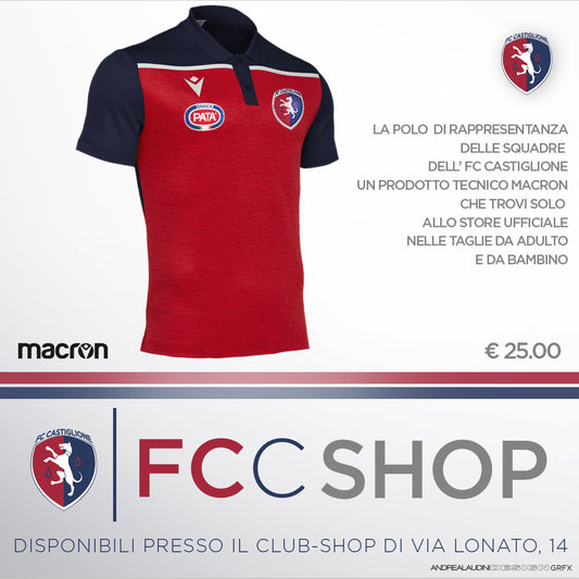 Polo di rappresentanza